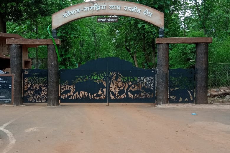 Pitezari Gate