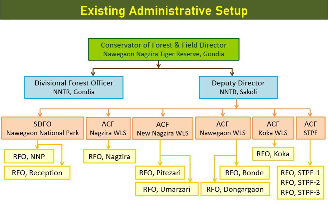 Hierarchy Image