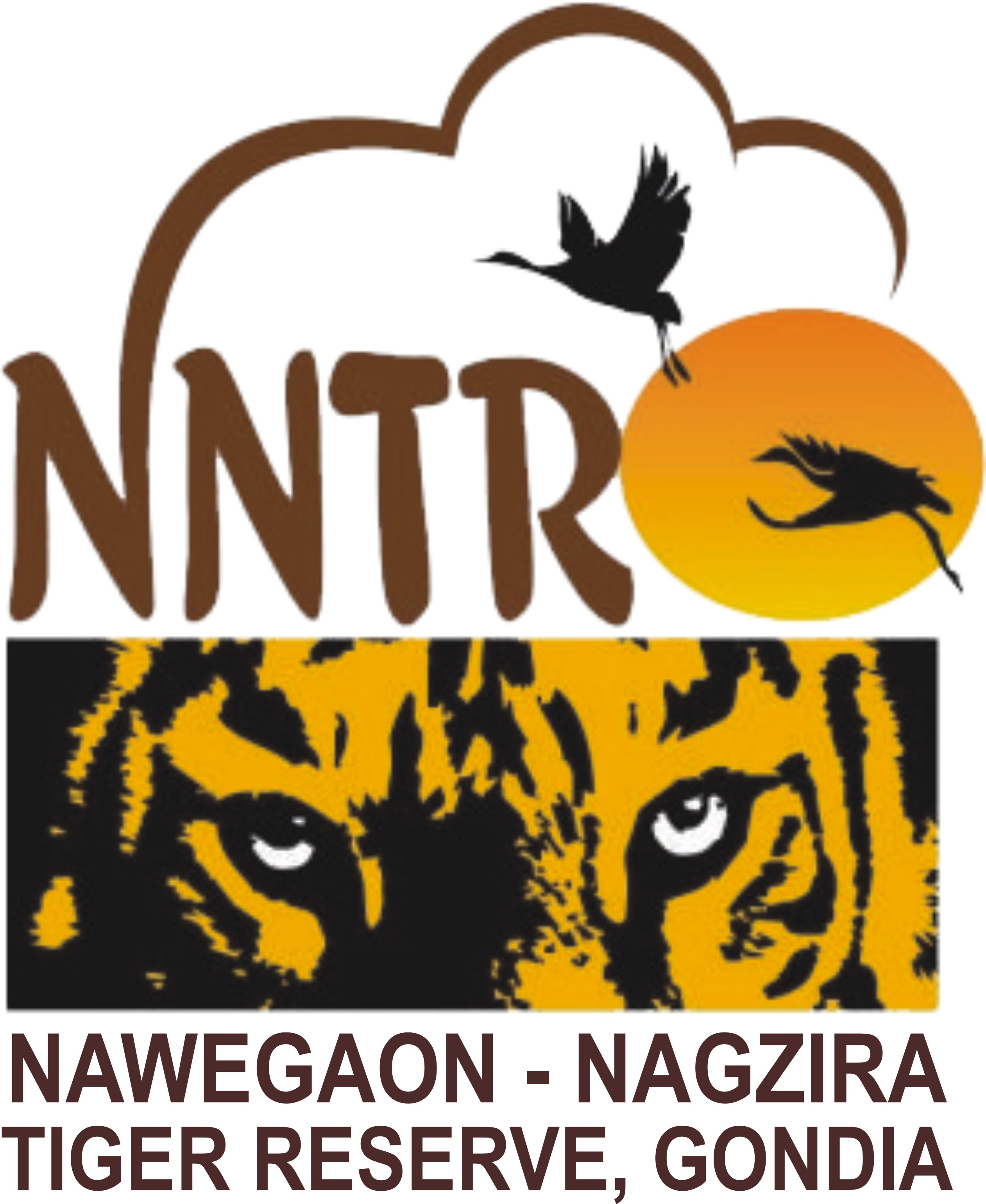 tadoba