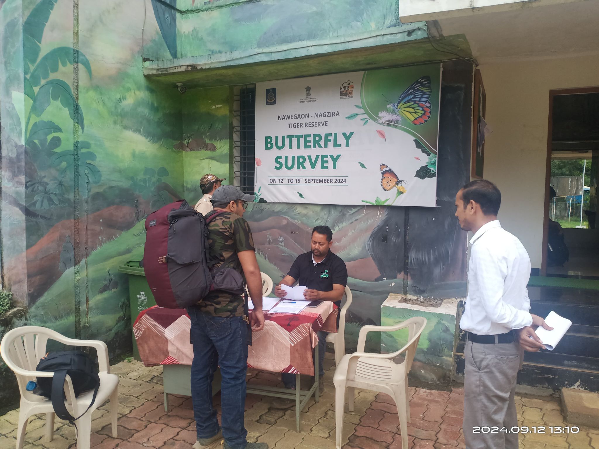 butterfly-survey 24