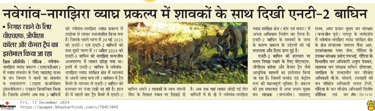 news