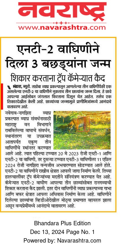 news